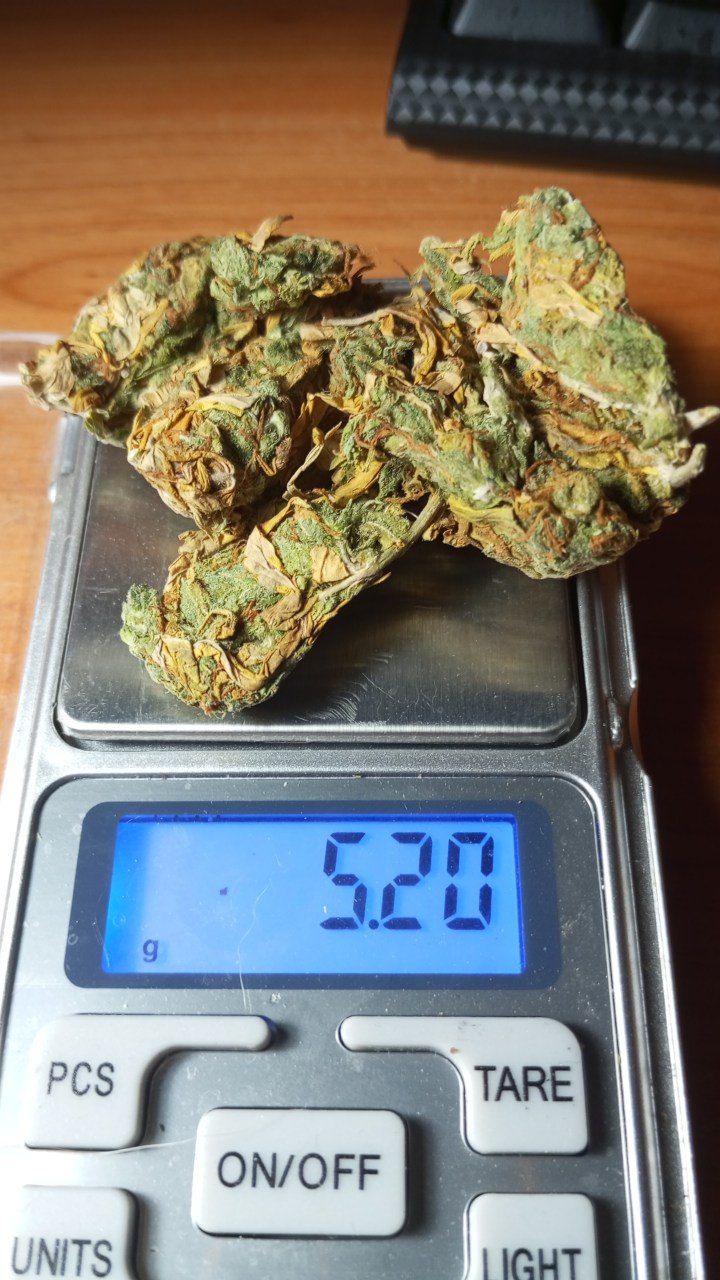 photo_2025-10-04_03-14-49 (2).jpg