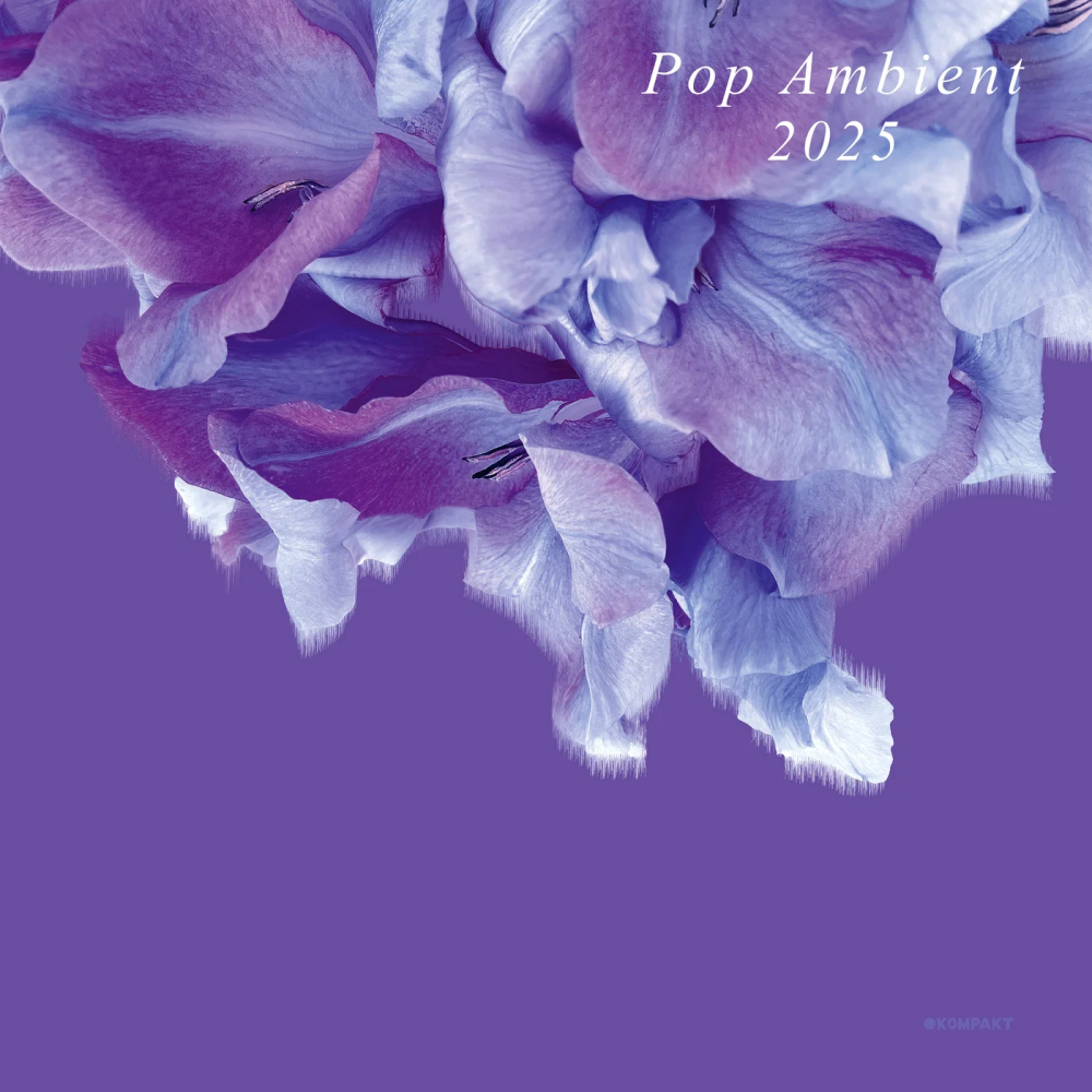 Pop Ambient 2025 1000x1000.jpg