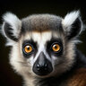 Lemur789