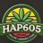 Hap605